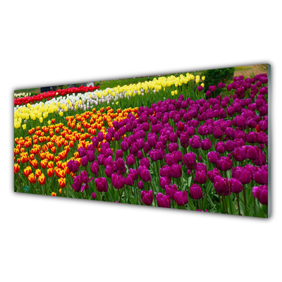 Stänkpanel Tulpaner Blommor