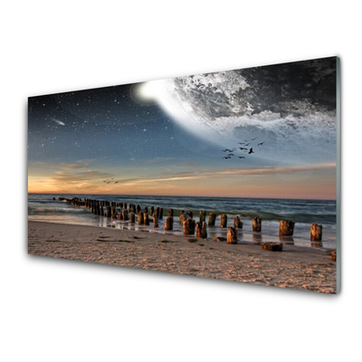 Stänkpanel Ocean Beach Landskap