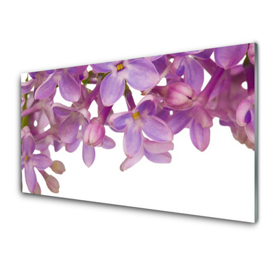 Stänkpanel Blommor Växt