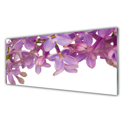 Stänkpanel Blommor Växt