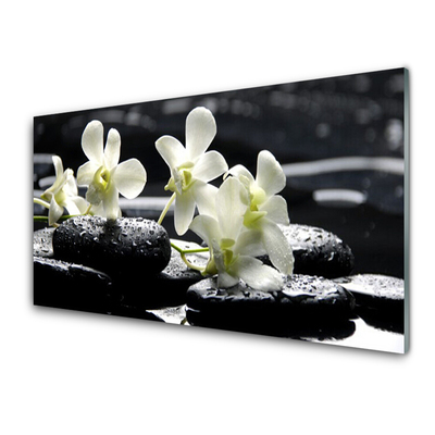 Stänkpanel Orchid Stones Plant