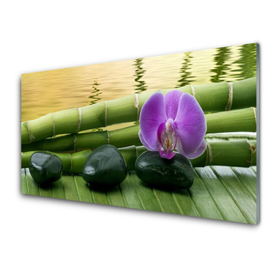 Stänkpanel Blomstenar Bambu Natur