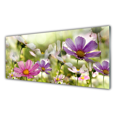 Stänkpanel Blommor Växtnatur