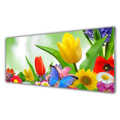 Stänkpanel Fjäril Blommor Natur