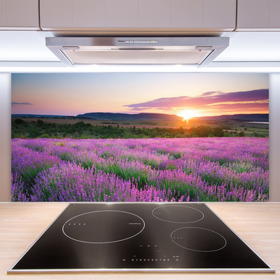 Stänkpanel Lavender Fields Meadow West