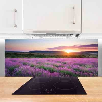 Stänkpanel Lavender Fields Meadow West