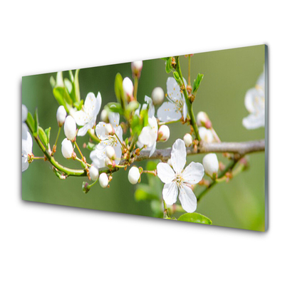 Kök stänkskydd Blommor Grenar Blad fruktträdgård