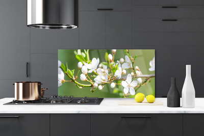 Kök stänkskydd Blommor Grenar Blad fruktträdgård