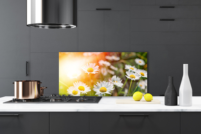 Stänkskydd kök Tusenskönor Blommor Strålar