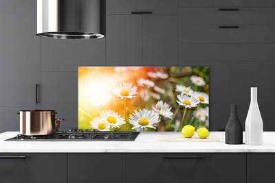 Stänkskydd kök Tusenskönor Blommor Strålar