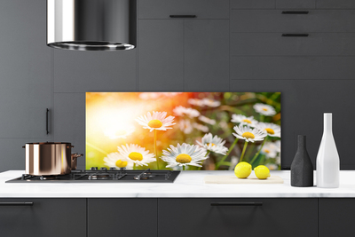 Stänkskydd kök Tusenskönor Blommor Strålar