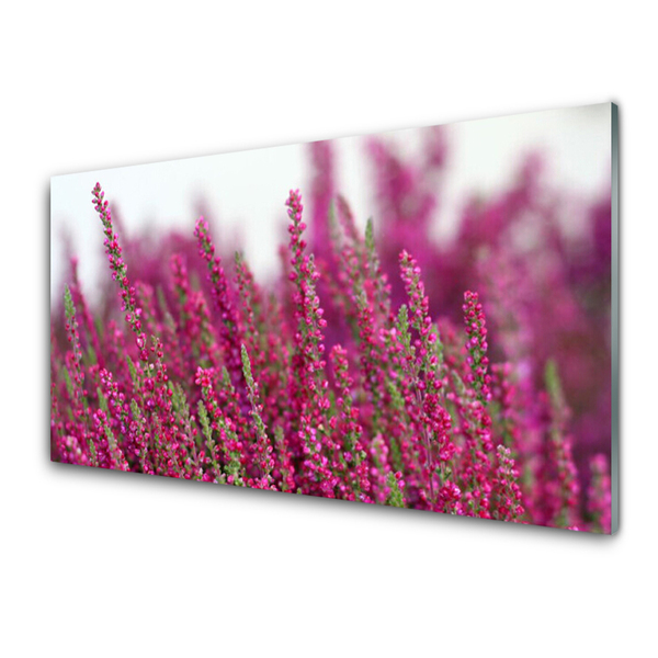 Stänkpanel Blommor äng natur växt