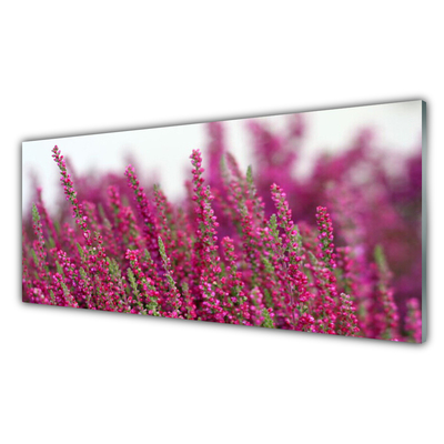 Stänkpanel Blommor äng natur växt