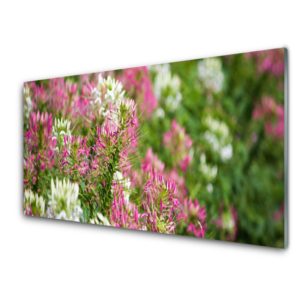 Stänkpanel Wildflowers Meadow Nature