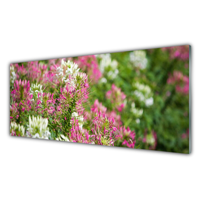 Stänkpanel Wildflowers Meadow Nature