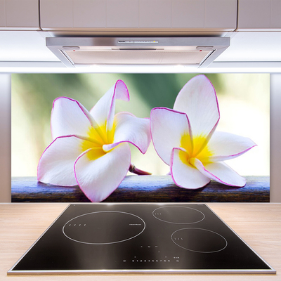 Stänkpanel Blommor Kronblad Plumeria