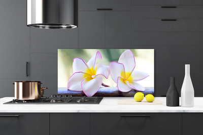 Stänkpanel Blommor Kronblad Plumeria