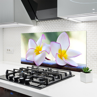 Stänkpanel Blommor Kronblad Plumeria