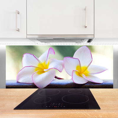 Stänkpanel Blommor Kronblad Plumeria