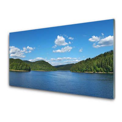 Stänkpanel Lake Forest Landskap