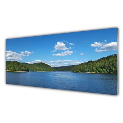 Stänkpanel Lake Forest Landskap