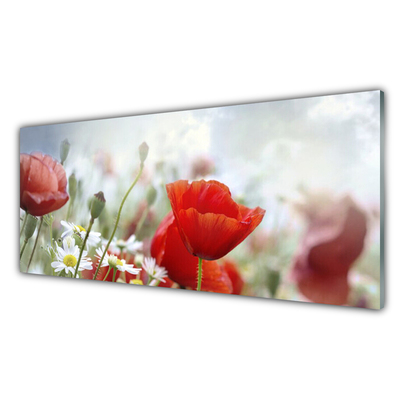 Stänkpanel Blommor Kronblad Växt