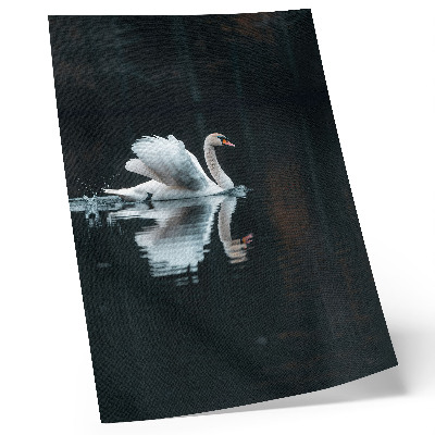 Poster Svan på vattnet med reflektion