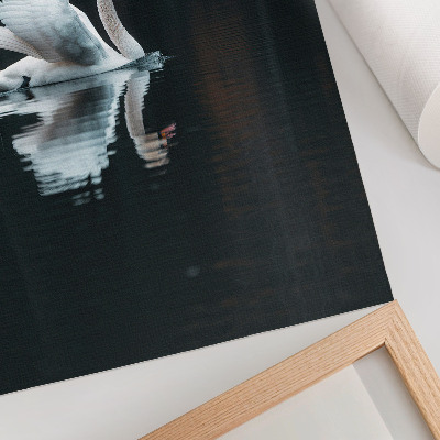 Poster Svan på vattnet med reflektion