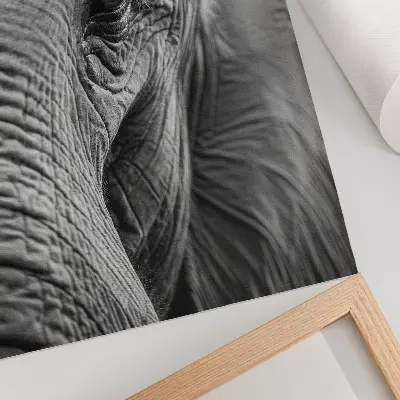 Poster ett elefantöga med texturer i harmoni och frid