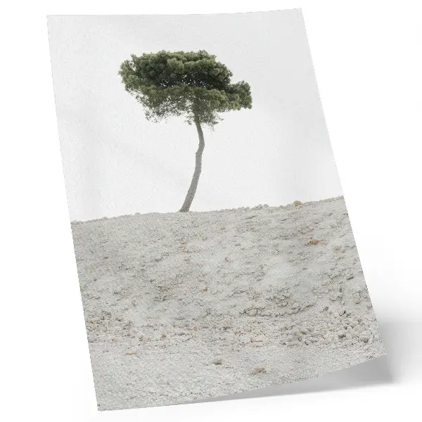 Poster ensamt träd på en ljus bakgrund i minimalistisk stil