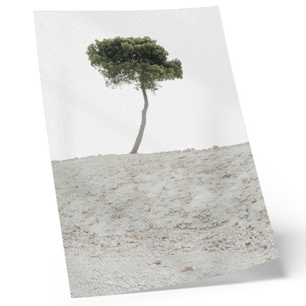 Poster Ensamt träd på en ljus bakgrund, minimalism