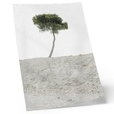 Poster ensamt träd på en ljus bakgrund i minimalistisk stil