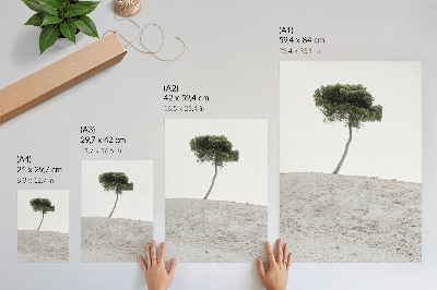 Poster Ensamt träd på en ljus bakgrund, minimalism