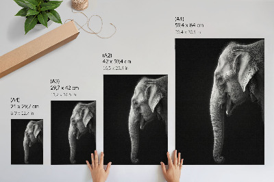 Dekorativ väggaffisch Monokromt porträtt av en elefant i profil