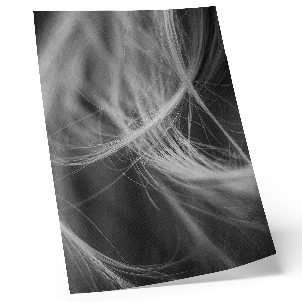 Hållbar väggposter Fina linjer abstrakt modern stil