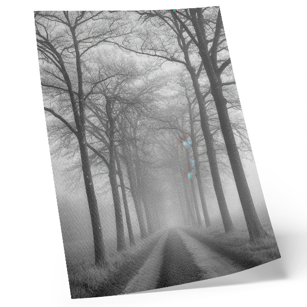 Hållbar väggposter Dimmig trädgränd Modern minimalism