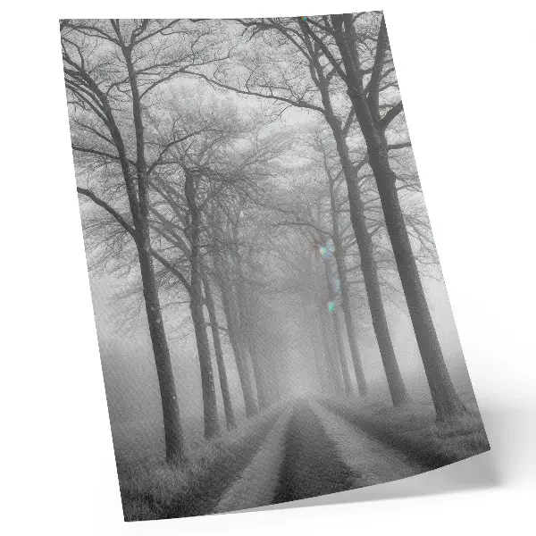 Hållbar väggposter med motiv av dimmig trädgränd i modern minimalism