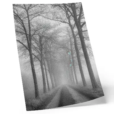 Hållbar väggposter med motiv av dimmig trädgränd i modern minimalism