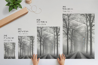 Hållbar väggposter Dimmig trädgränd Modern minimalism