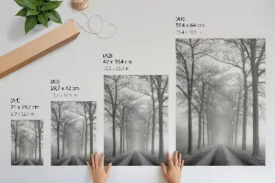Hållbar väggposter med motiv av dimmig trädgränd i modern minimalism