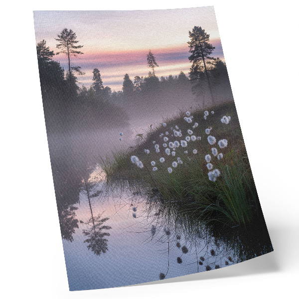 Poster En stilla morgon vid sjön i dimman