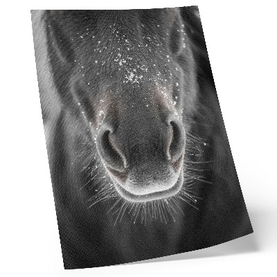 Hållbar väggposter Fotorealistisk närbild av ett hästansikte i snön