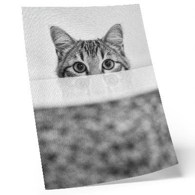 Poster Katt bakom ytan svartvit minimalism