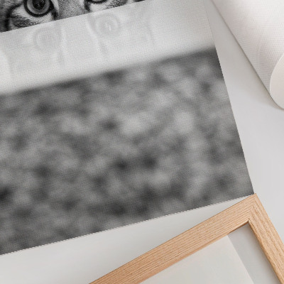 Poster Katt bakom ytan svartvit minimalism