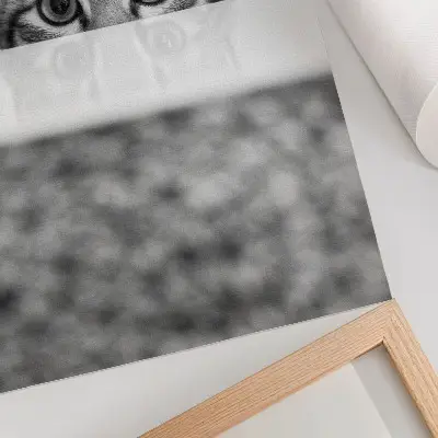 Poster katt med minimalistisk svartvit design