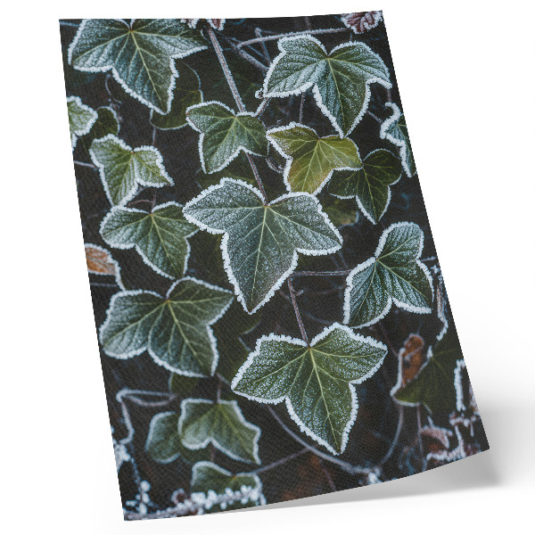 Hållbar väggposter Gröna blad med vit frost på kanterna