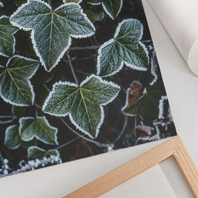Hållbar väggposter Gröna blad med vit frost på kanterna