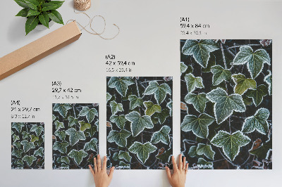 Hållbar väggposter Gröna blad med vit frost på kanterna