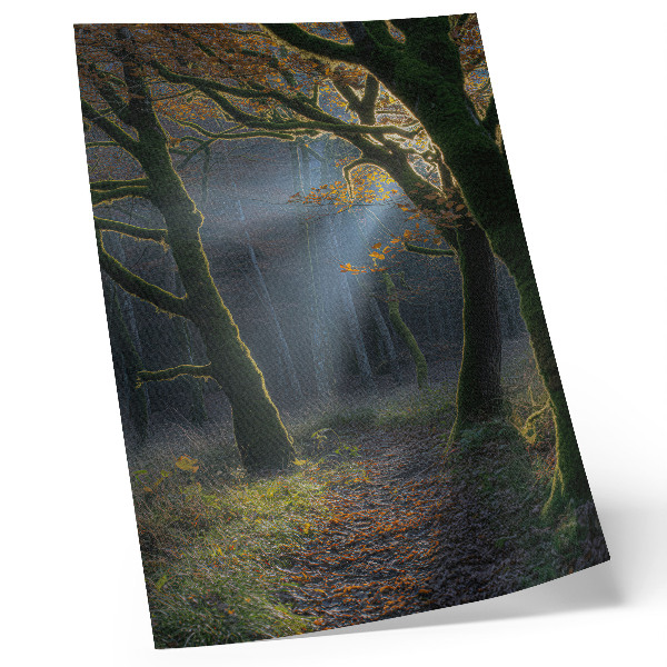 Poster Magisk skogshöstljus lugn atmosfär