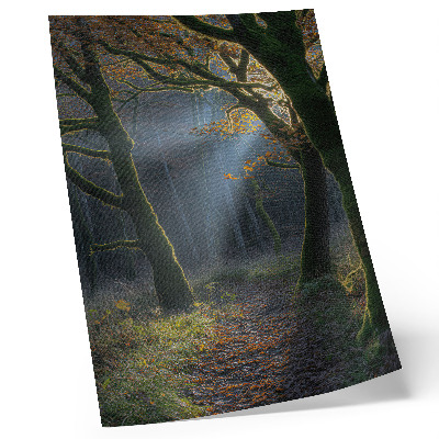 Poster Magisk skogshöstljus lugn atmosfär